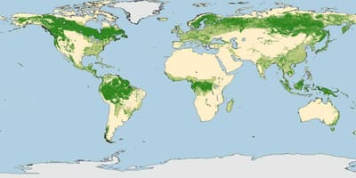 Australia foreste mappa